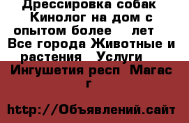 Дрессировка собак (Кинолог на дом с опытом более 10 лет) - Все города Животные и растения » Услуги   . Ингушетия респ.,Магас г.